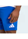 adidas Entrada26 Shorts OO227 miniatuur
