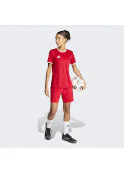 adidas Entrada26 shorts pour femmes TR210 thumbnail (vignette)