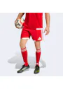 Adidas Tiro 26 Competition Match Day Shorts QY684 Vorschaubild