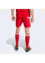 Adidas Tiro 26 Competition Match Day Shorts QY684 Vorschaubild