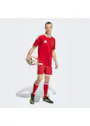 Adidas Tiro 26 Competition Match Day Shorts QY684 Vorschaubild