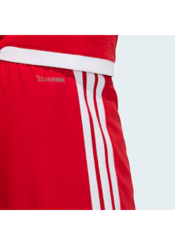 adidas Sport Tiro26 Competition Match Day Shorts QY684 miniatuur