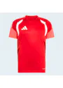 Adidas Tiro 26 Competition Training Jersey F6672 Vorschaubild
