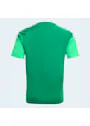 adidas Sport Tiro 26 Competition Kids Training Jersey JVG61 miniatuur