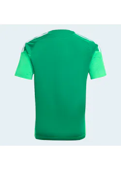 adidas Sport Tiro 26 Competition Kids Training Jersey JVG61 miniatuur