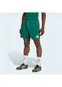 adidas Entrada26 Shorts OO227 miniatuur