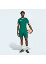 adidas Entrada26 Shorts OO227 miniatuur