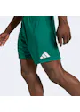 adidas Entrada26 Shorts OO227 miniatuur