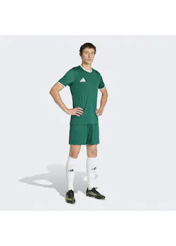 adidas Sport Entrada26 Jersey EA665 miniatuur