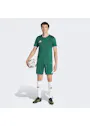 adidas Sport Entrada26 Jersey EA665 miniatuur