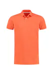 Oranje heather