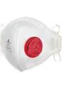 Delta Plus 10 Maskers FFP3 V+PV miniatuur
