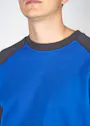 Mascot Witten Sweatshirt Unique miniatuur