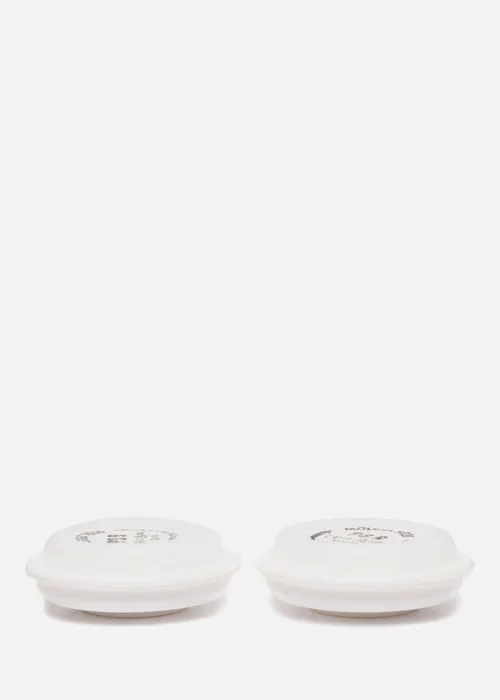 Moldex 903001 Stoffilter P3 R-1