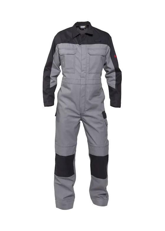 Dassy Niort: Overall
