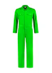 Appel groen