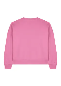 Stanley/Stella Alma STSW212 pull de travail coupe standard Iconic pour femmes thumbnail (vignette)