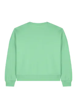 Stanley/Stella Alma STSW212 pull de travail coupe standard Iconic pour femmes thumbnail (vignette)