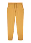 G. Dyed Gold Ochre