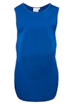 Koningsblauw (Bright Royal)
