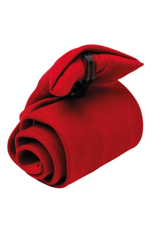 Premier Clip-on tie
