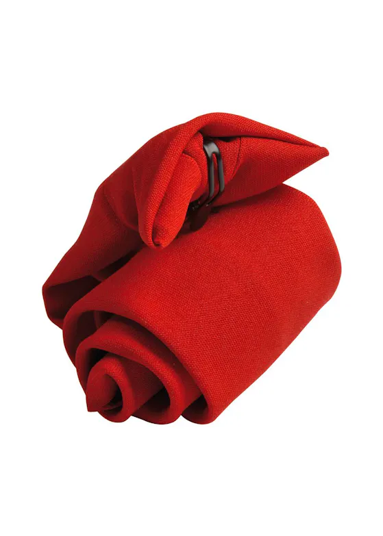 Premier Clip-on tie