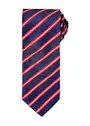 Premier Sports Stripe Tie Vorschaubild