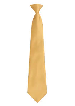 Premier Colours Orginals Fashion Clip Tie