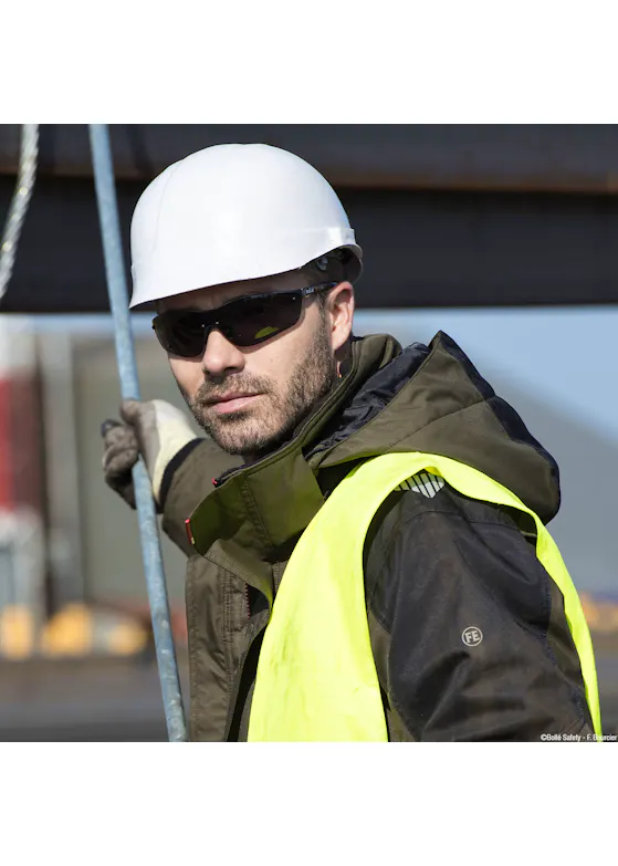 Bollé Silium PC Smoke Schutzbrille