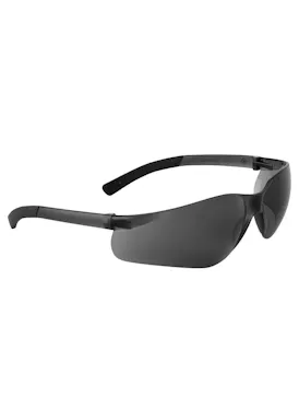 Portwest PW38 Pan View Brille