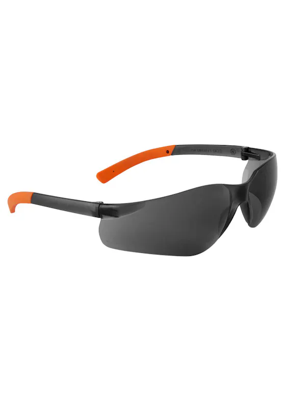 Portwest PW38 Pan View Brille
