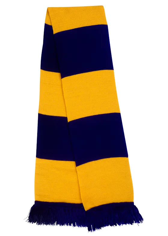 Result Team Scarf