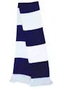 Result Team Scarf Vorschaubild