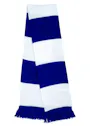 Result Team Scarf Vorschaubild