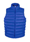 Koningsblauw (Bright Royal)