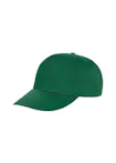 Flesgroen