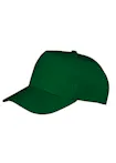 Flesgroen
