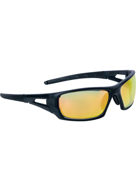 Schutzbrille „RIMFIRE“ von Delta Plus