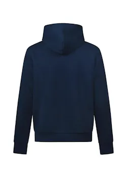 Robey Brandpack RS7721 Hoodie thumbnail (vignette)