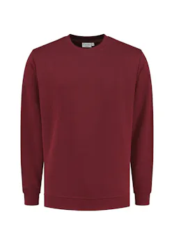 Santino Sweat-shirt Lyon thumbnail (vignette)