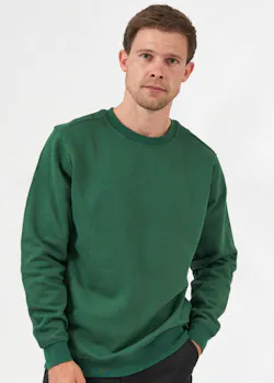 Santino Lyon Sweater Regular Fit Advance