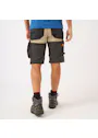Snickers Workwear AllroundWork, Stretch Korte Broek met Holsterzakken 6141 miniatuur