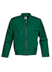 Flesgroen