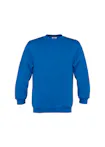 Koningsblauw (Bright Royal)